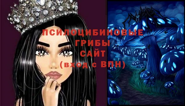 прущий лед Нея