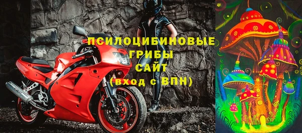 прущий лед Нея
